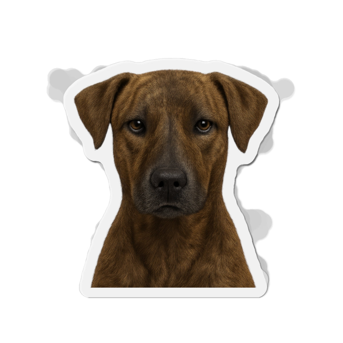 Africanis Die-Cut Magnet, Fridge Magnet, Cute Dog Magnet, Animal Lover Gift, Pet Owner Decor, Kitchen Decor