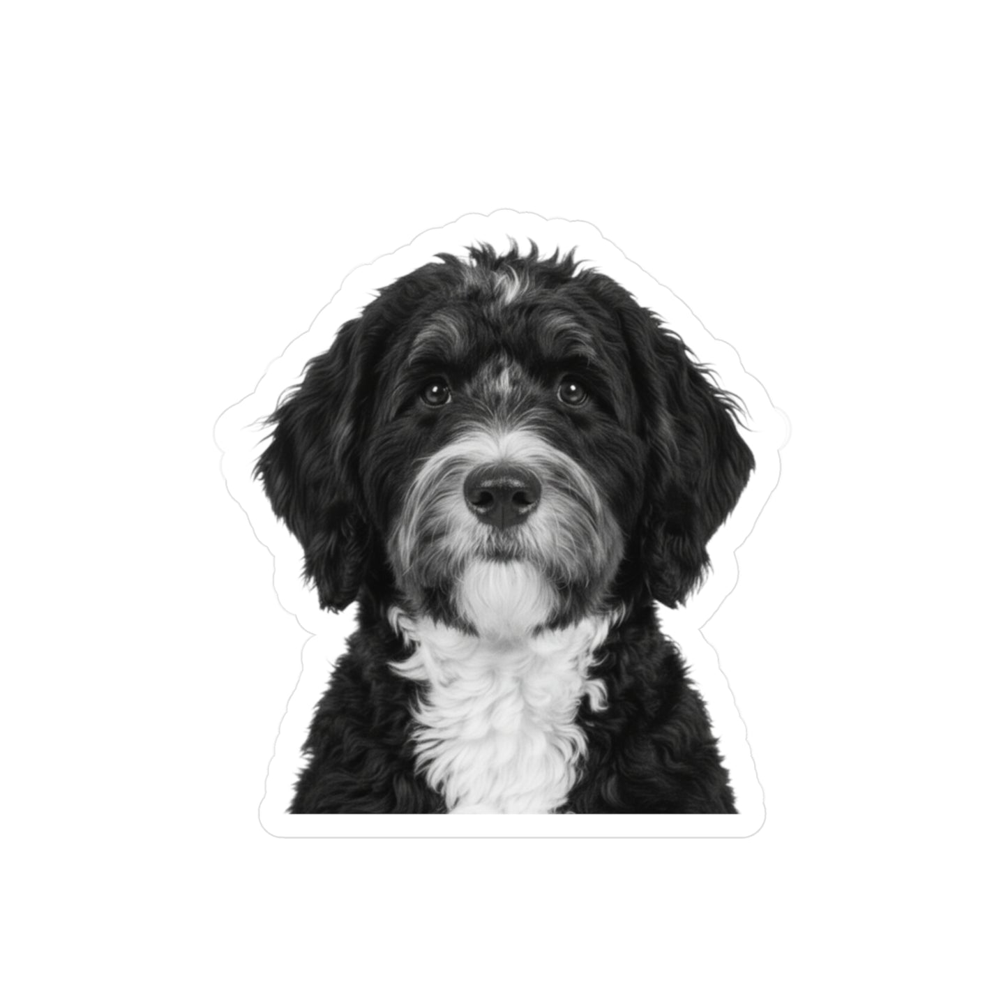 Bernedoodle Kiss-Cut Vinyl Decal Sticker, Laptop Decal, Car Decal, Dog Lover Gift, Pet Owner Gift, Bernedoodle Owner, Custom Sticker, Vinyl