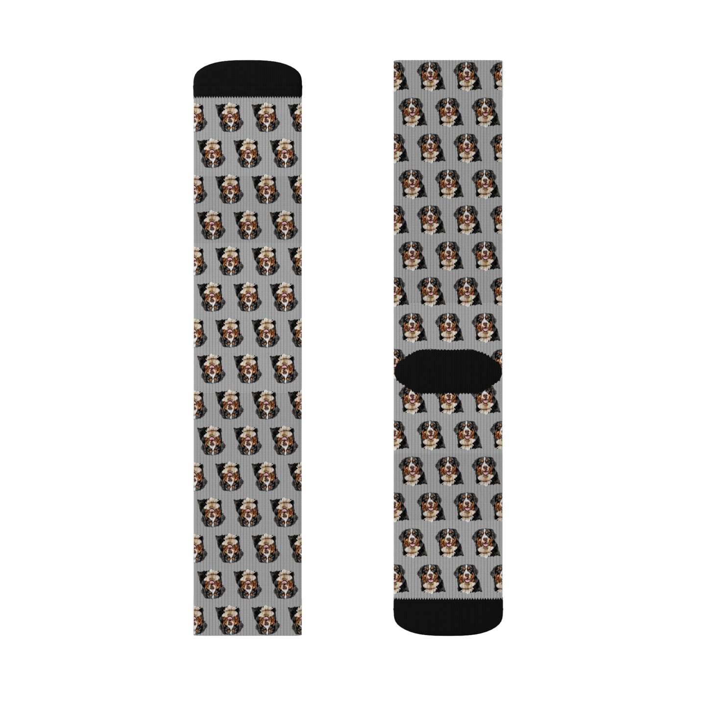 Bernese Mountain Dog Socks