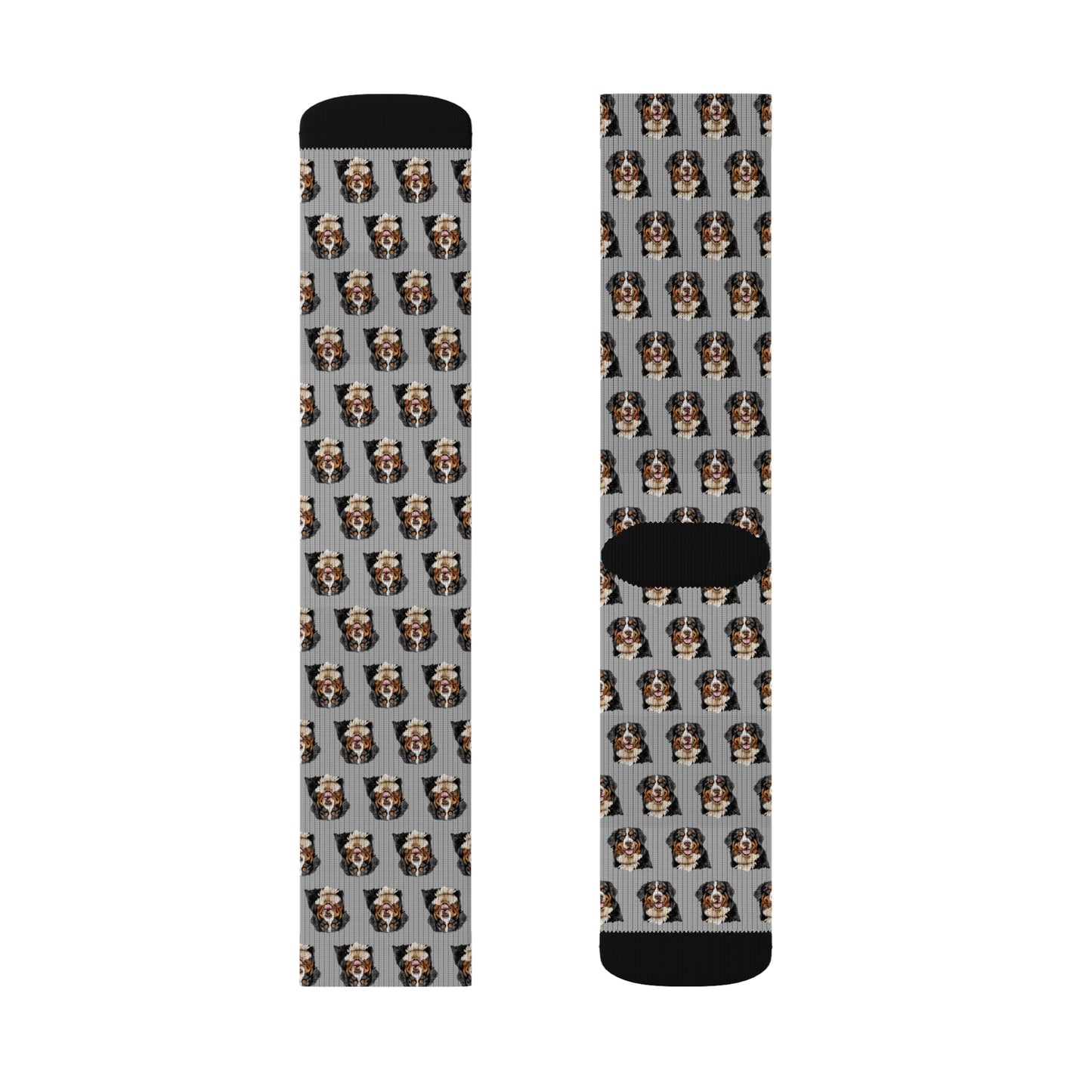 Bernese Mountain Dog Socks