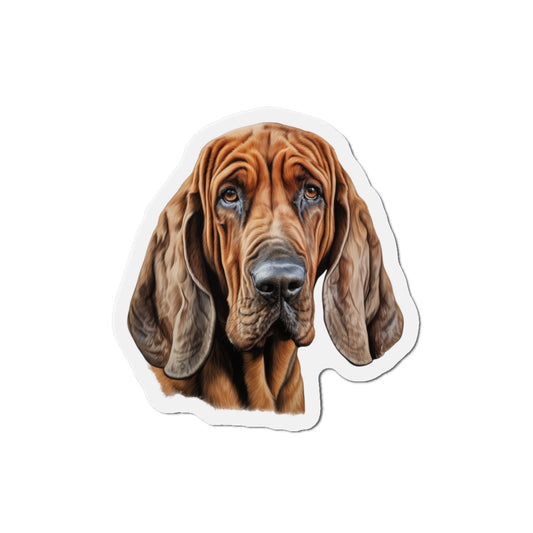 Bloodhound Magnet