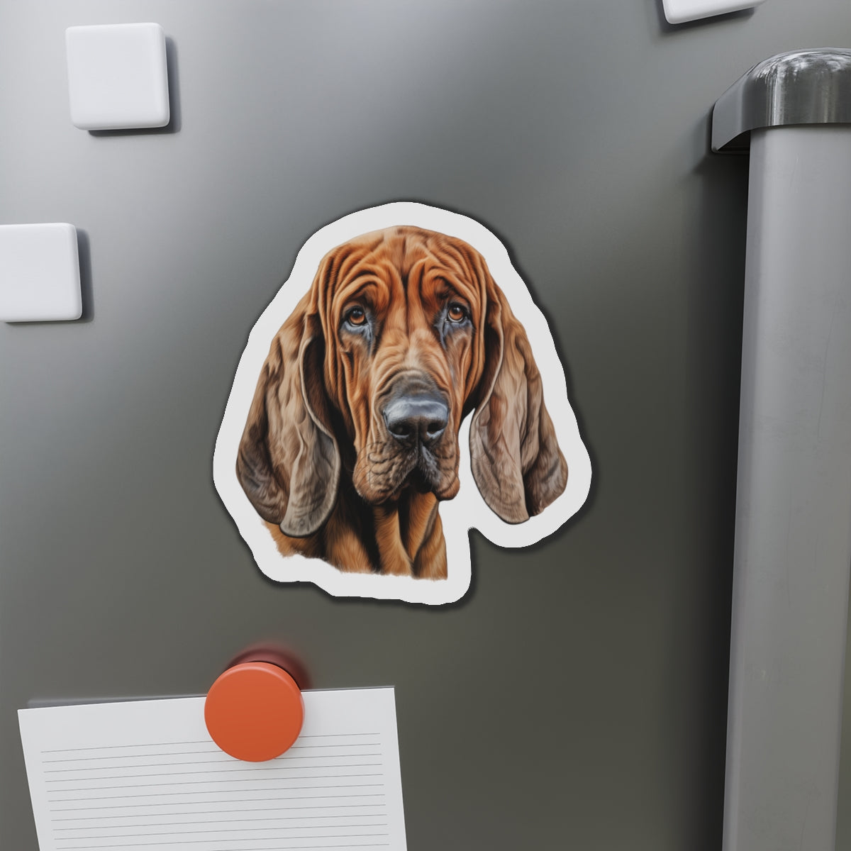 Bloodhound Magnet