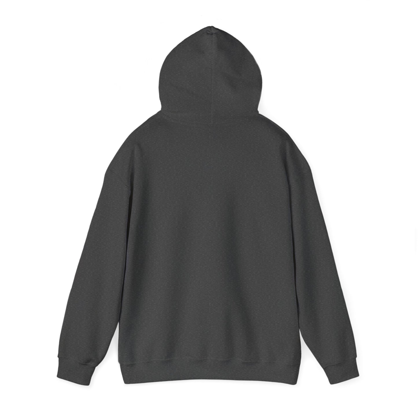 You Got This Hoodie - Unisex Heavy Blend Hooded Sweatshirt