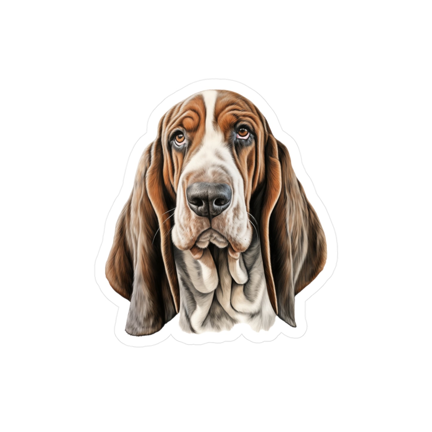 Basset Hound Sticker - Kiss-Cut Vinyl Dog Decals
