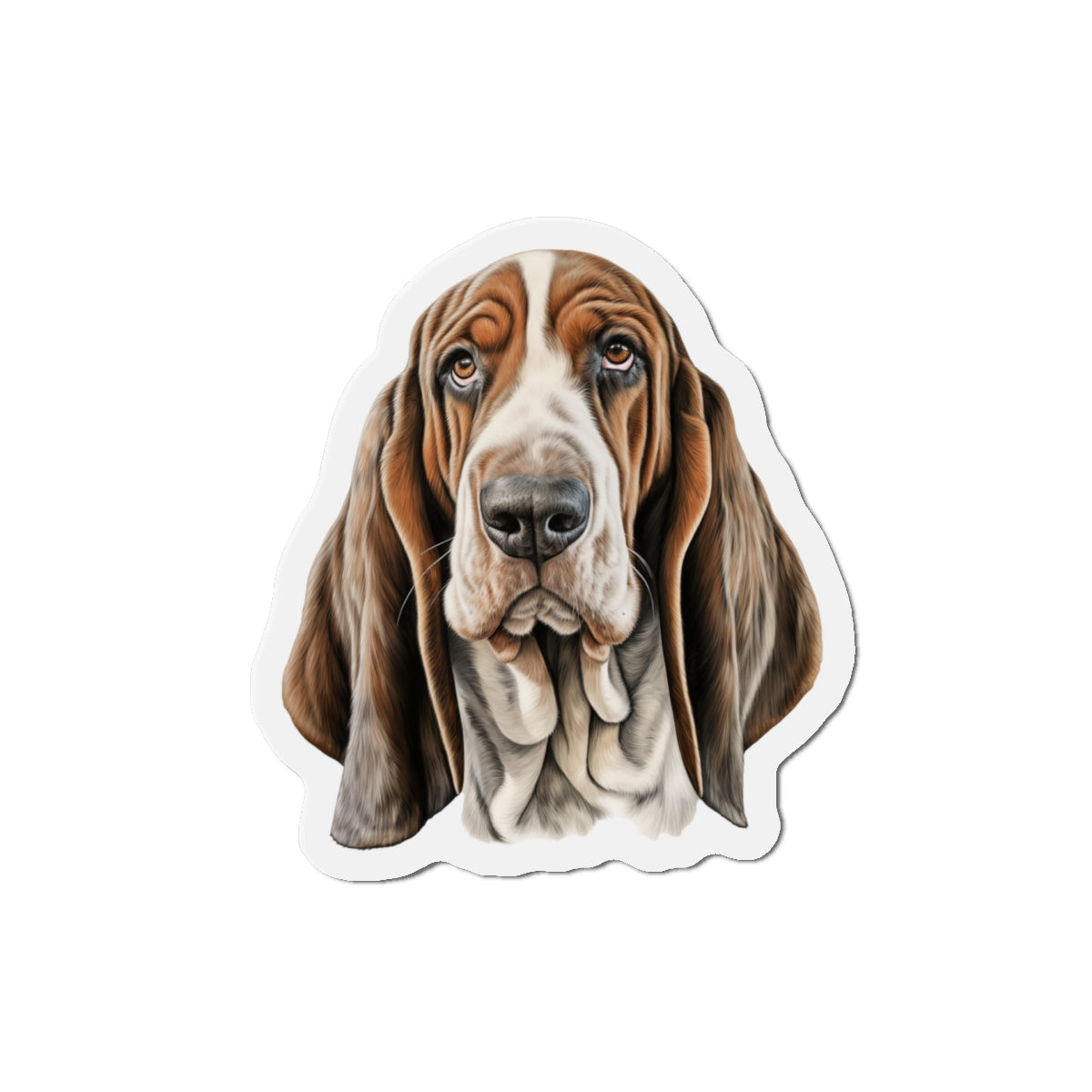 Basset Hound Magnet - Perfect for Dog Lovers' Decor