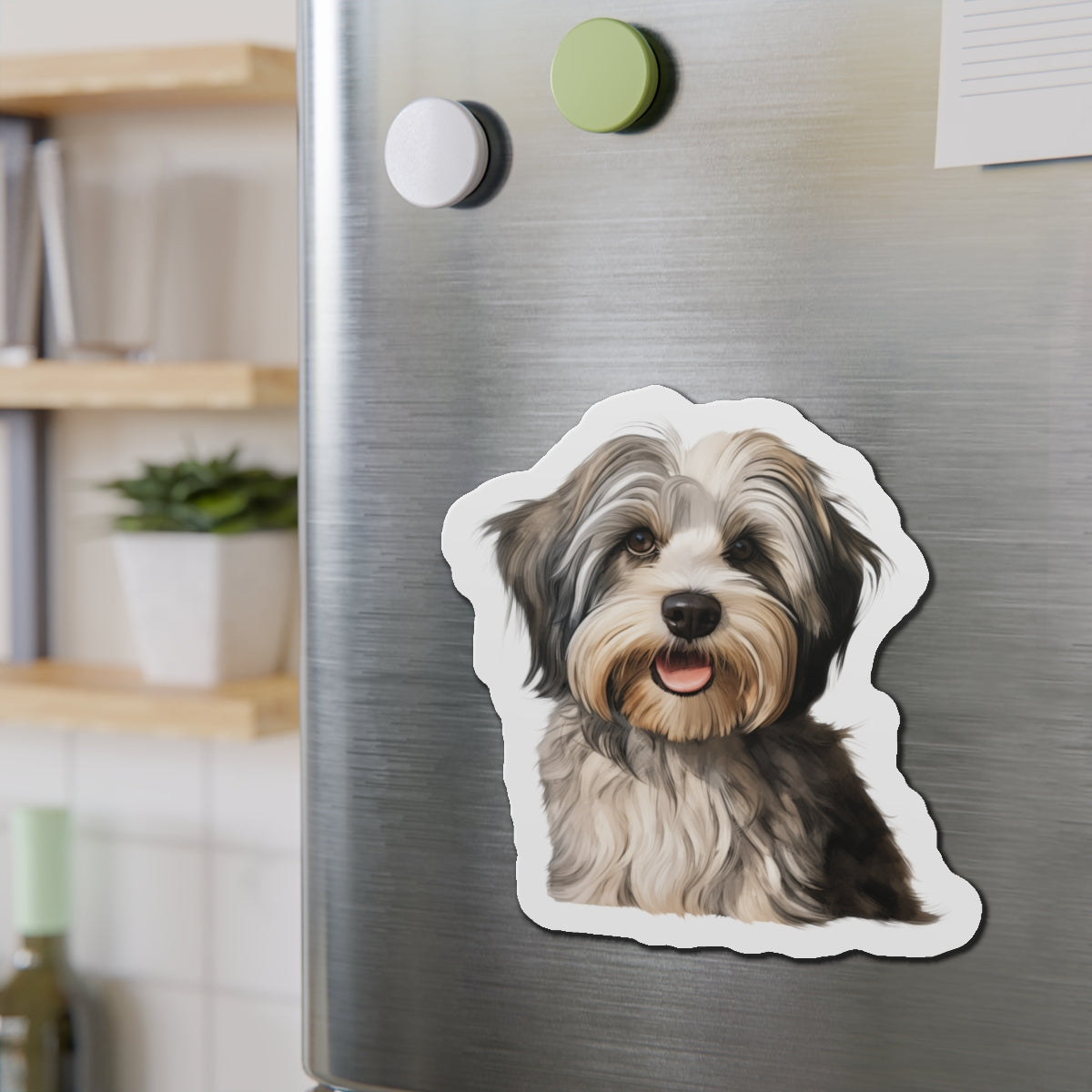 Havanese Magnet