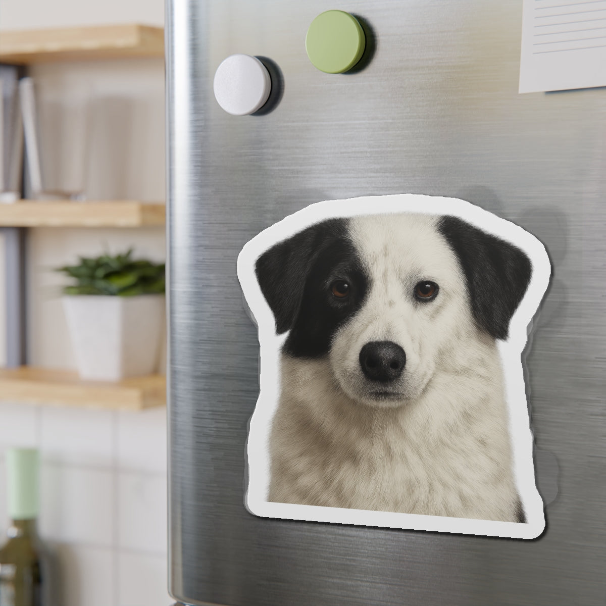 Aidi Die-Cut Magnet, Fridge Magnet, Cute Dog Magnet, Animal Lover Gift, Pet Owner Decor, Kitchen Decor