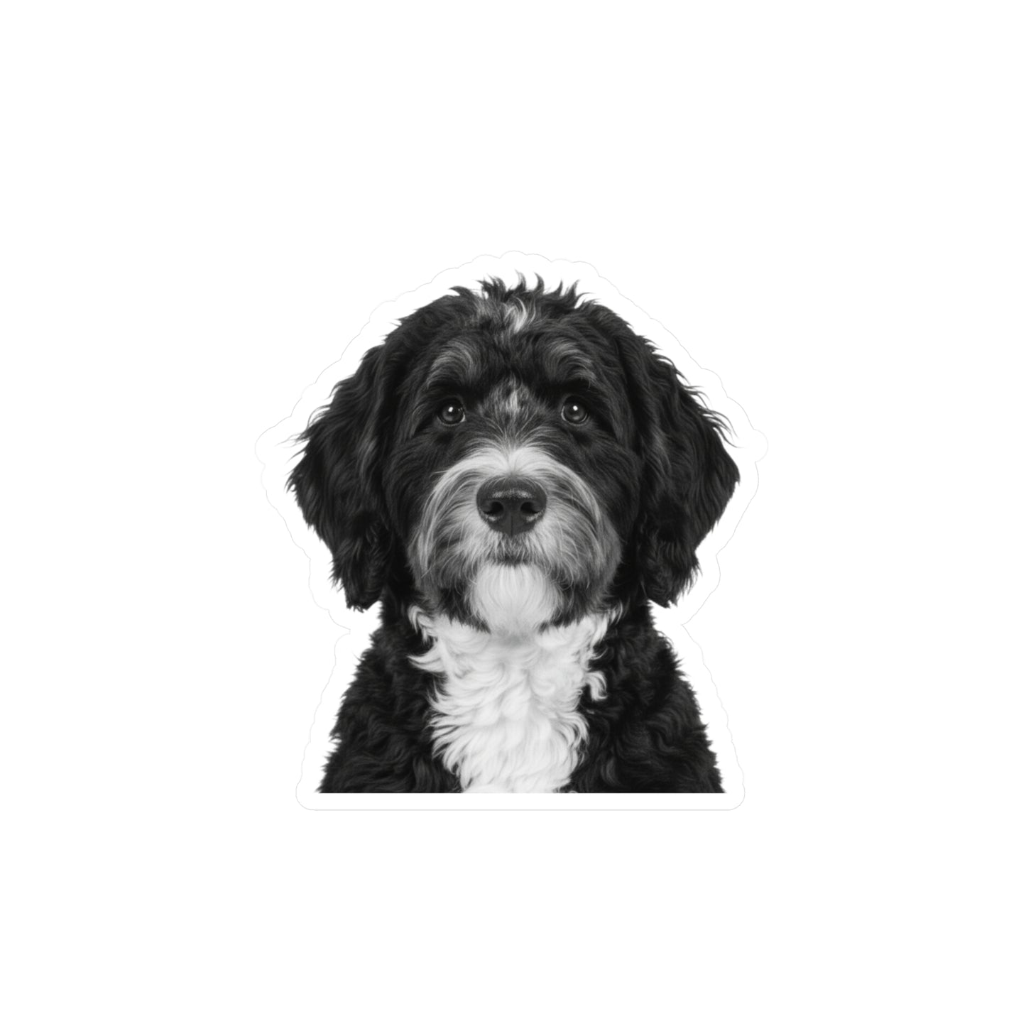Bernedoodle Kiss-Cut Vinyl Decal Sticker, Laptop Decal, Car Decal, Dog Lover Gift, Pet Owner Gift, Bernedoodle Owner, Custom Sticker, Vinyl