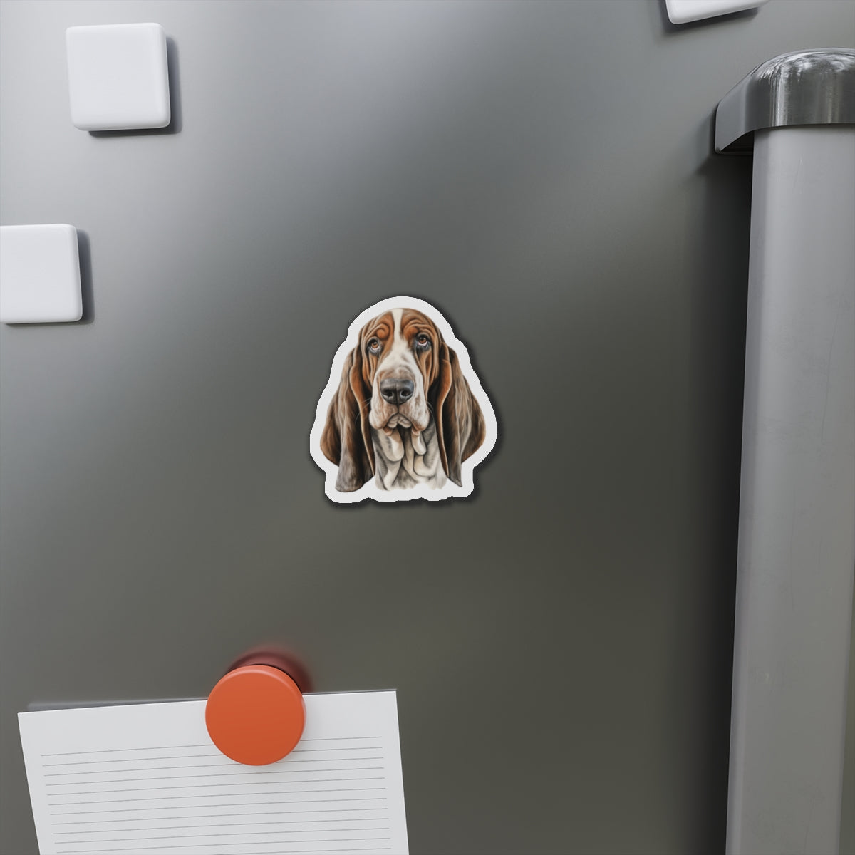 basset hound fridge magnet