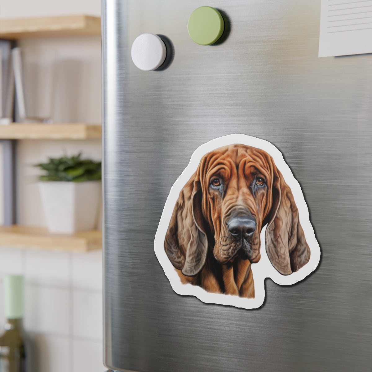 Bloodhound Magnet