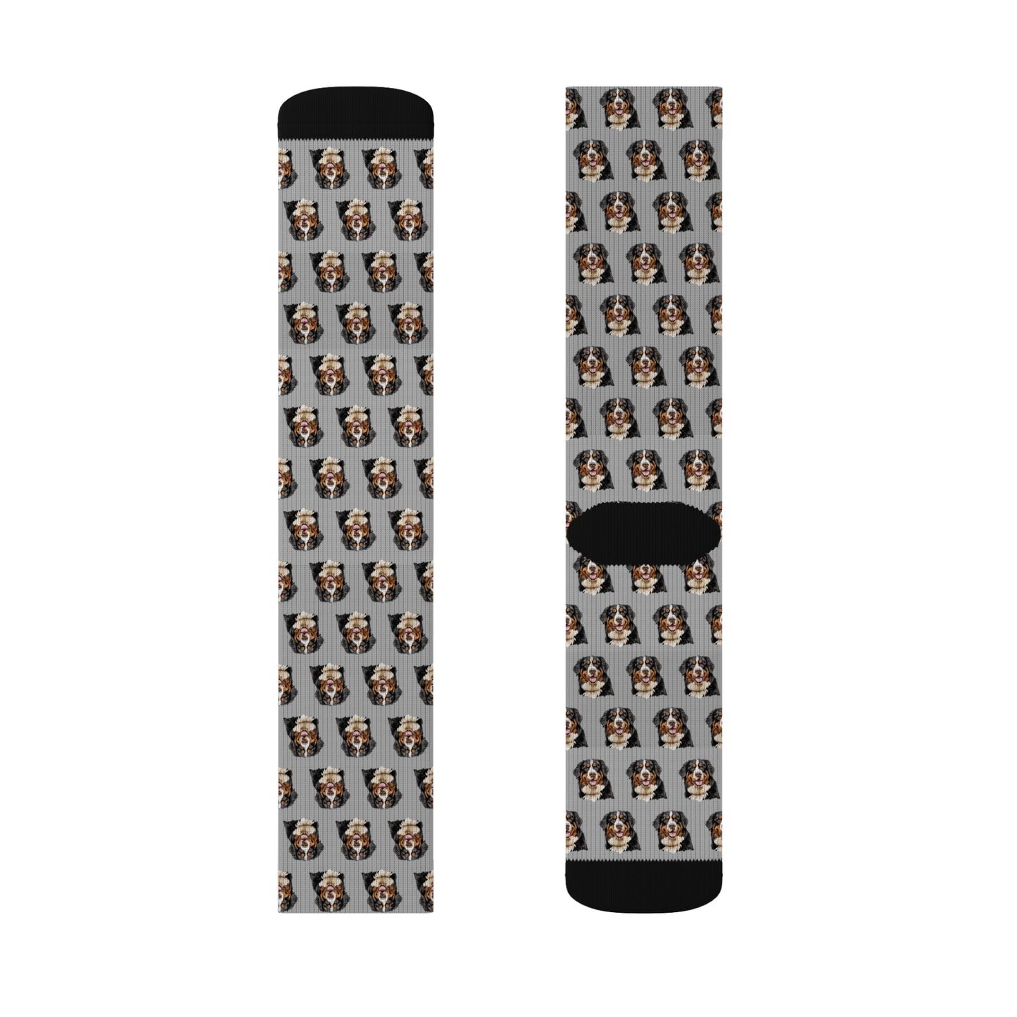 Bernese Mountain Dog Socks