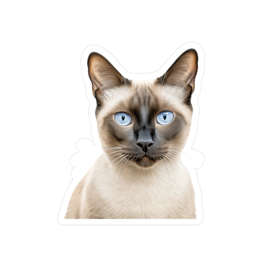 Siamese Cat Sticker | Pet Vinyl Decal | Animal Car Decal | Laptop Sticker | Window Decal