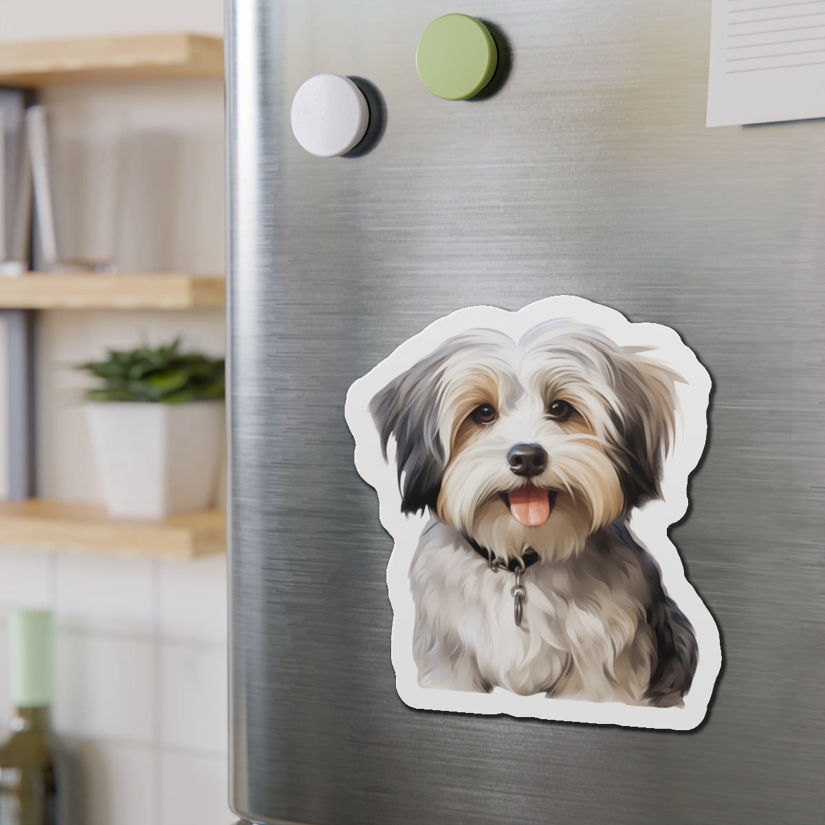 Havanese Magnet