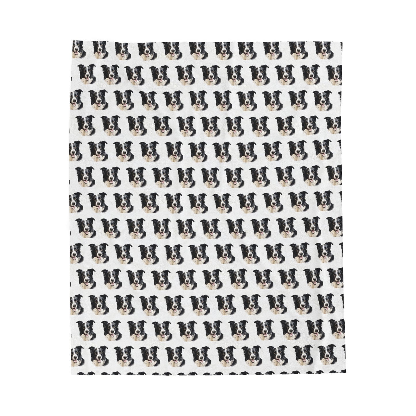 Border Collie Velveteen Plush Blanket - White Background