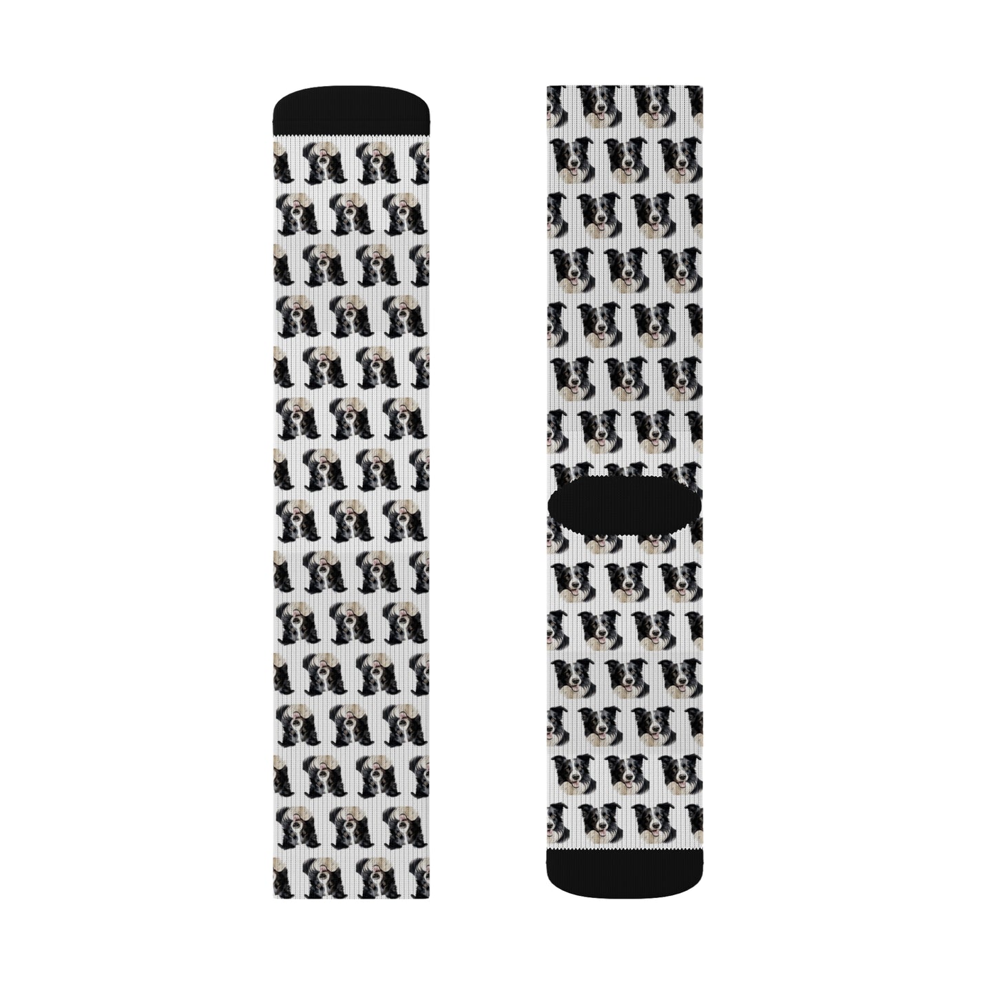 Border Collie Socks