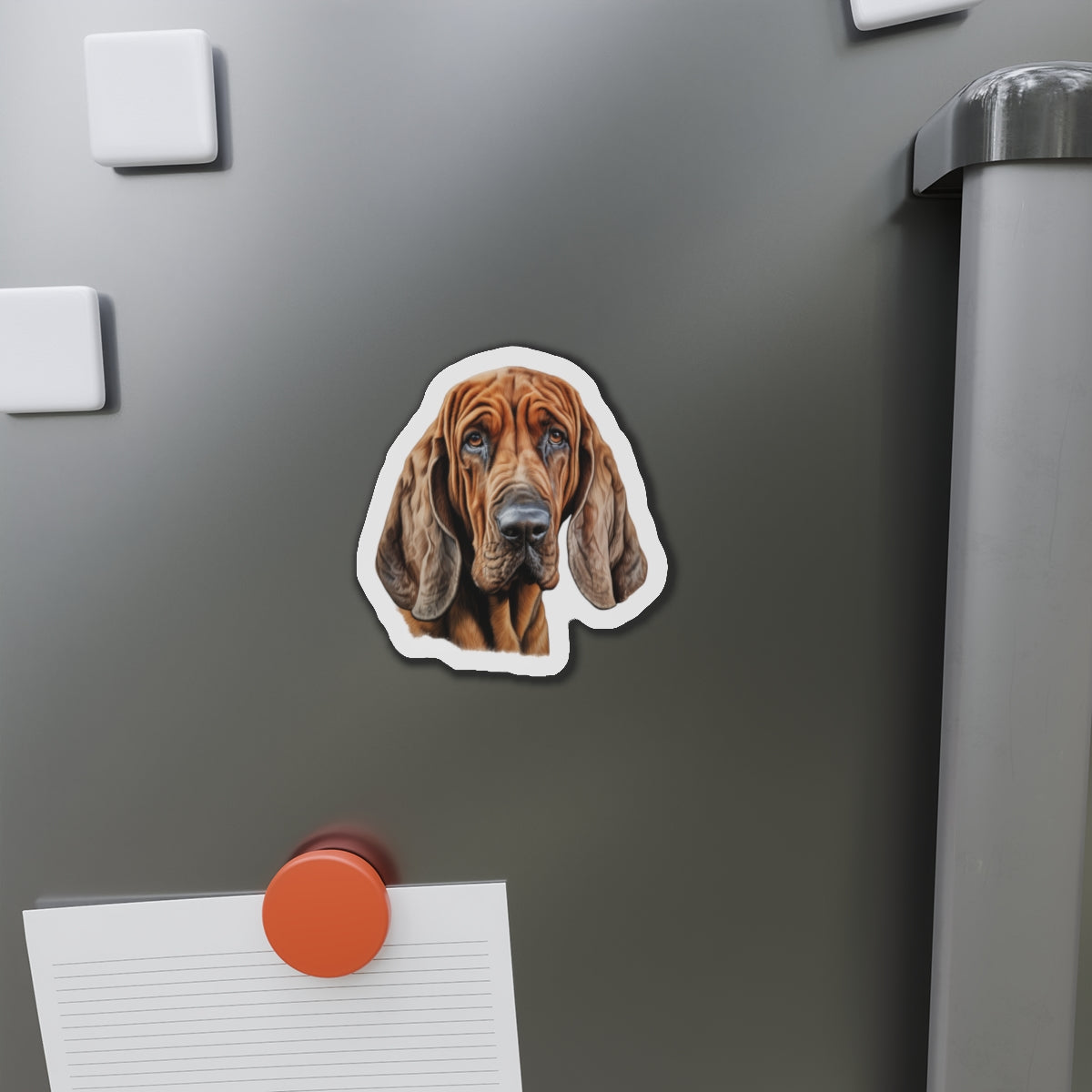 Bloodhound Magnet