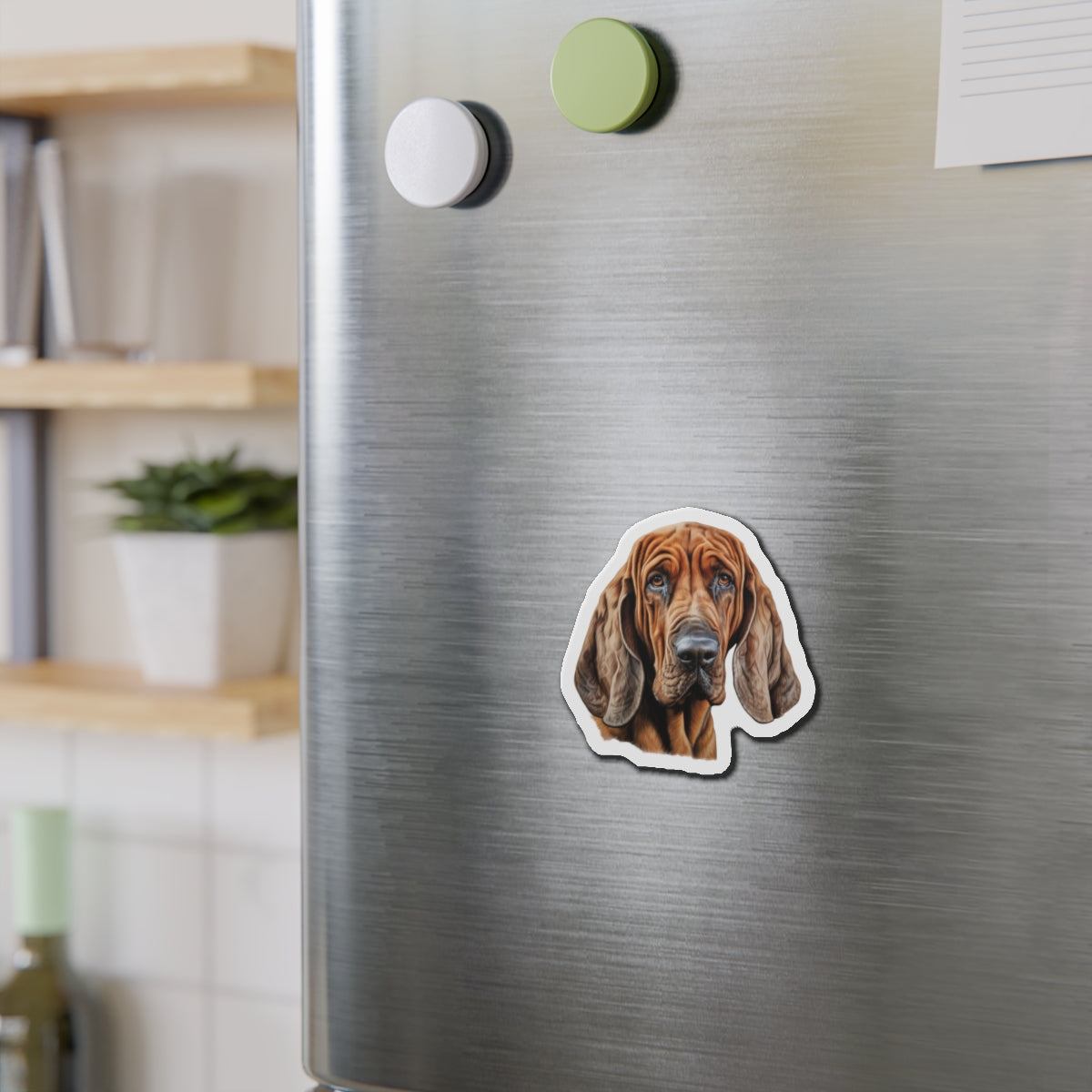 Bloodhound Magnet