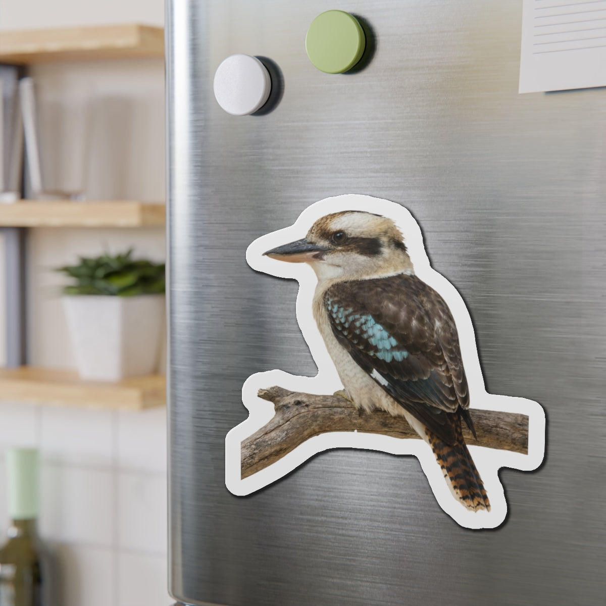 Kookaburra Magnet | Australian Bird Magnet