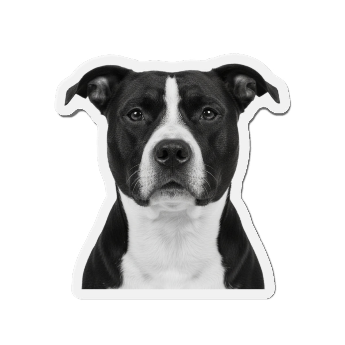Pit Bull Die-Cut Magnet, Pet Lover Fridge Magnet, Animal Car Magnet, Cute Dog Kitchen Decor, Bull Terrier Gift