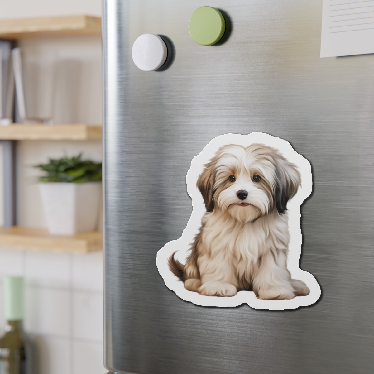 Havanese Magnet