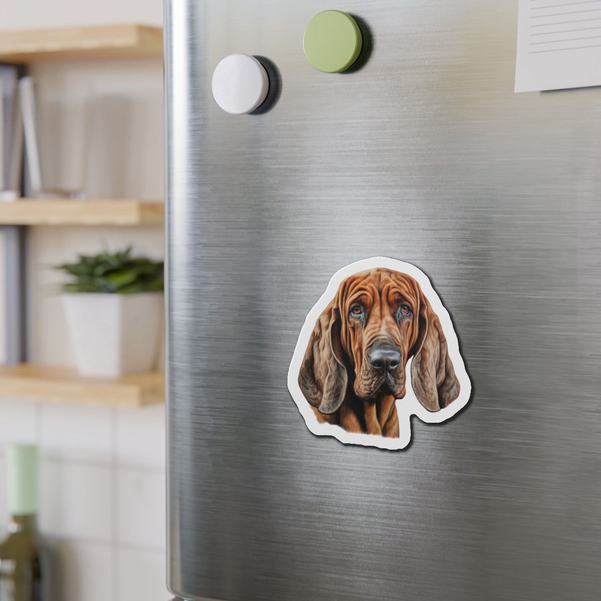 Bloodhound Magnet