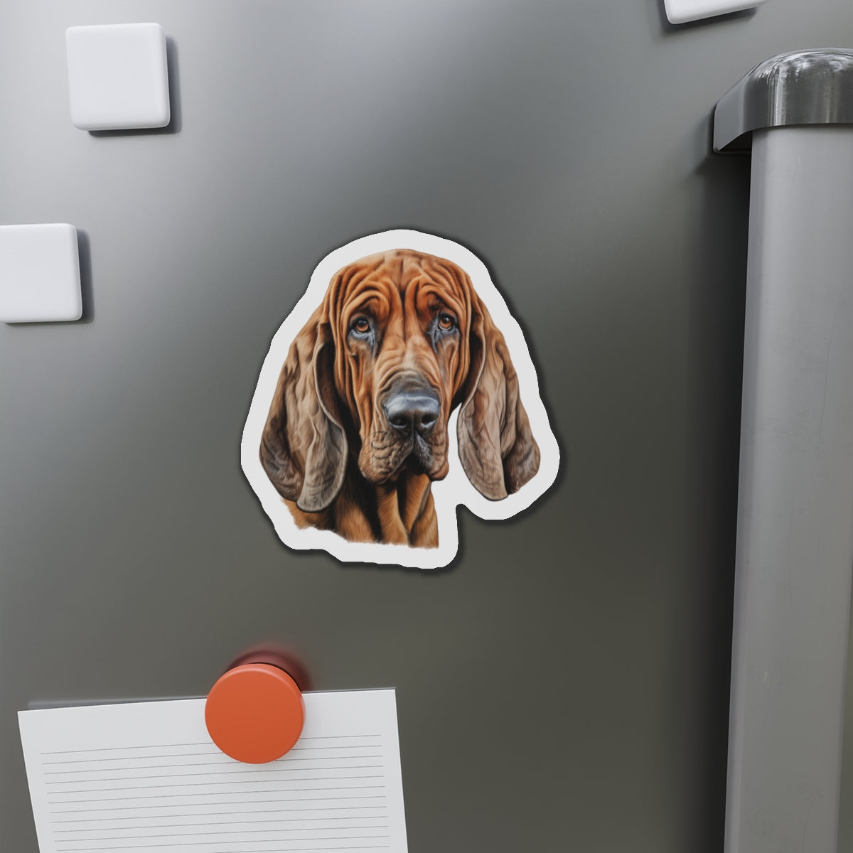 Bloodhound Magnet