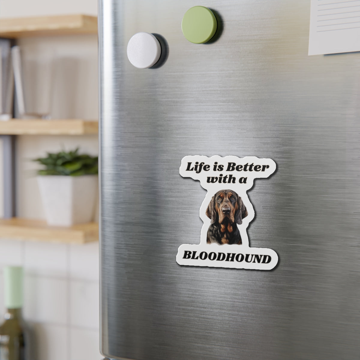 Bloodhound Magnet