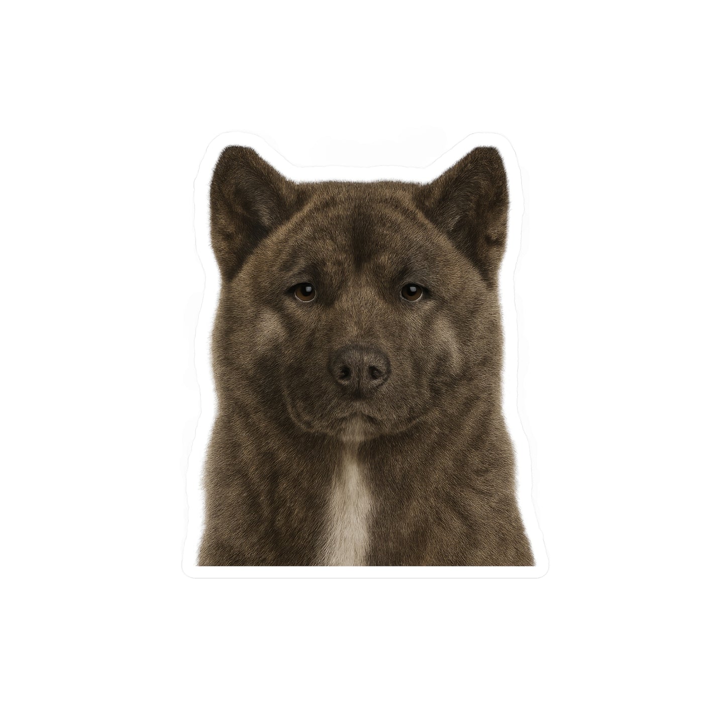 Brindle Akita decal - Akita sticker - Dog Sticker - Pet Decal - Outdoor - Indoor