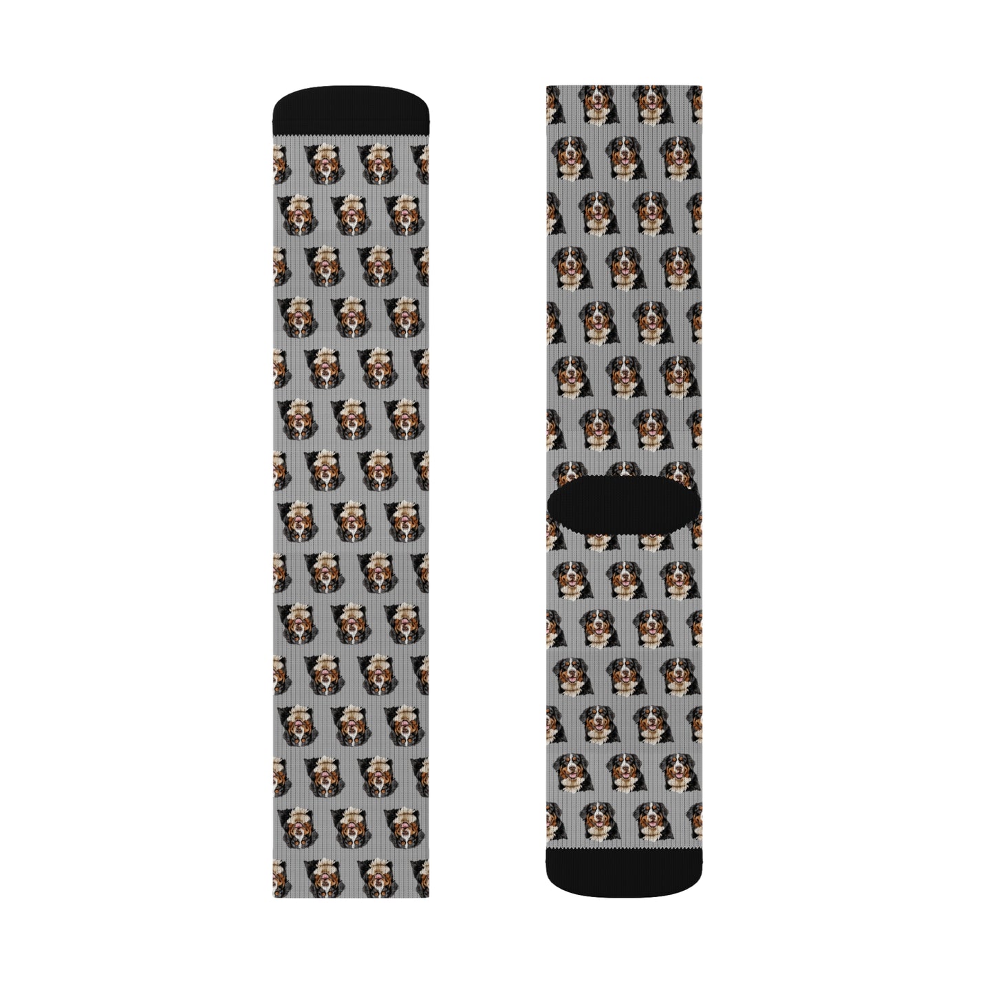 Bernese Mountain Dog Socks