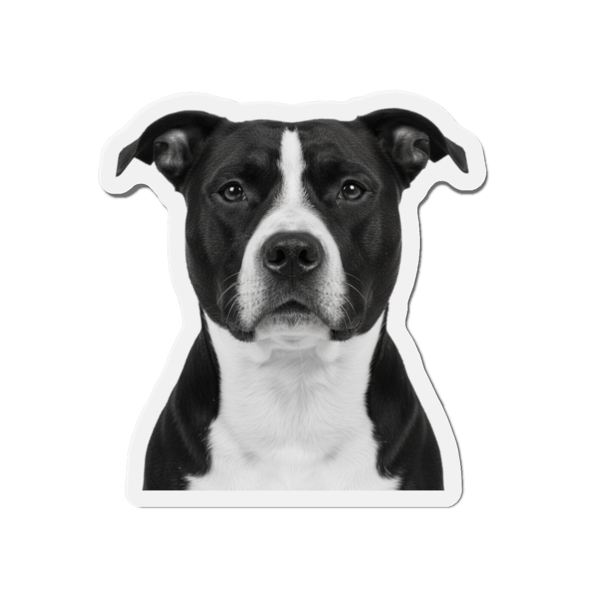 Pit Bull Die-Cut Magnet, Pet Lover Fridge Magnet, Animal Car Magnet, Cute Dog Kitchen Decor, Bull Terrier Gift