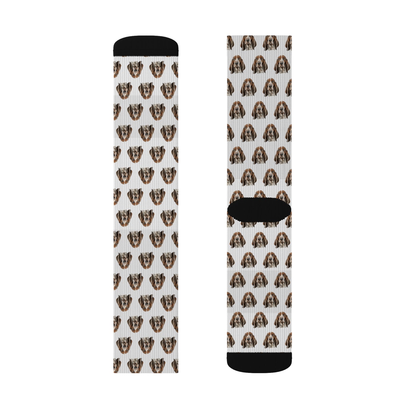 Basset Hound Socks