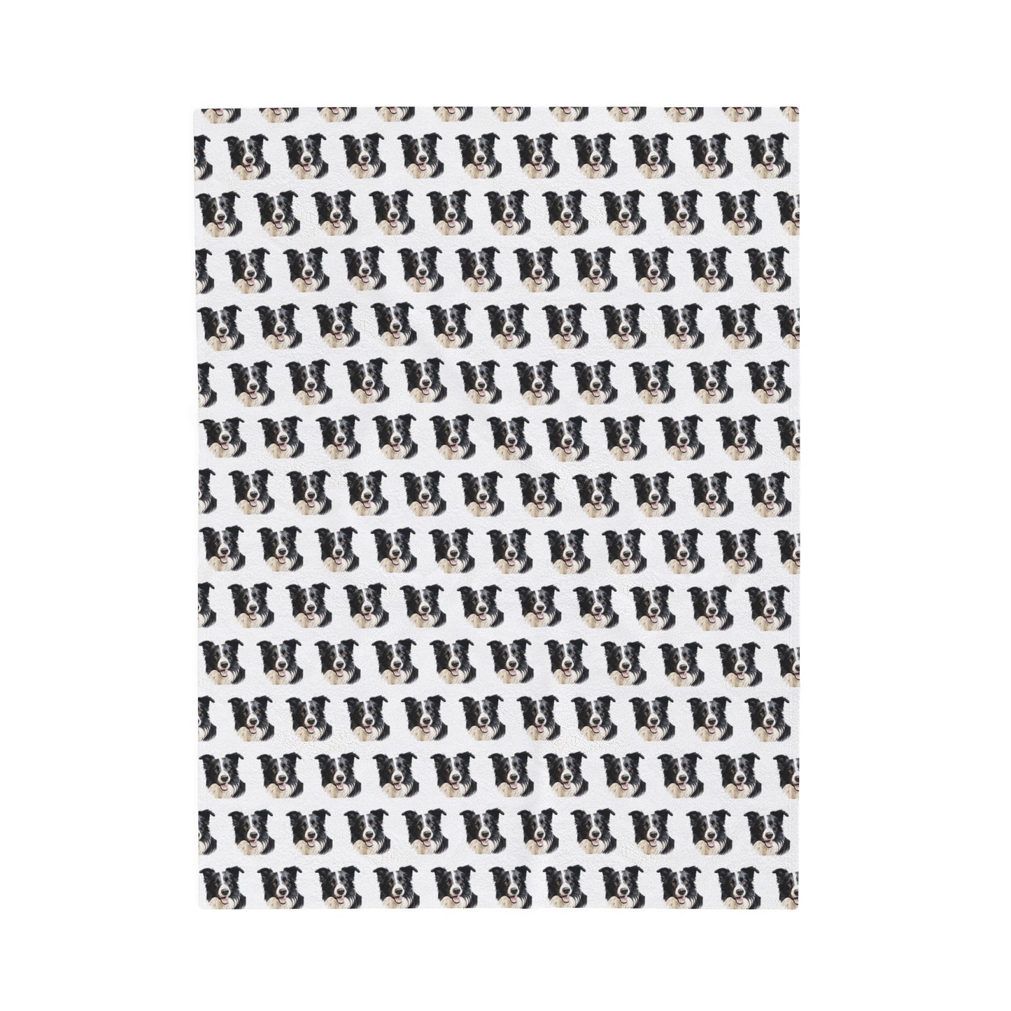 Border Collie Velveteen Plush Blanket - White Background