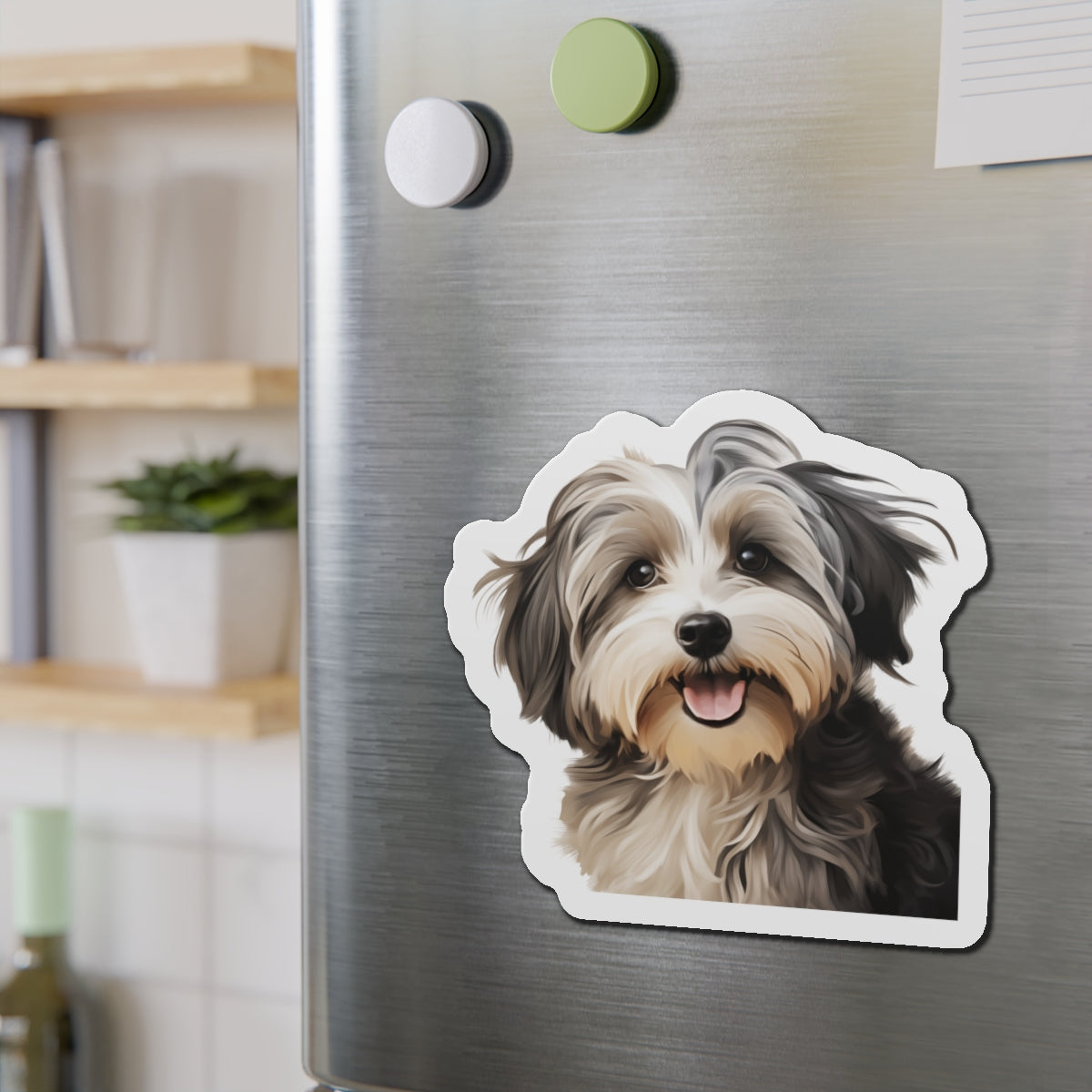 Havanese Magnet