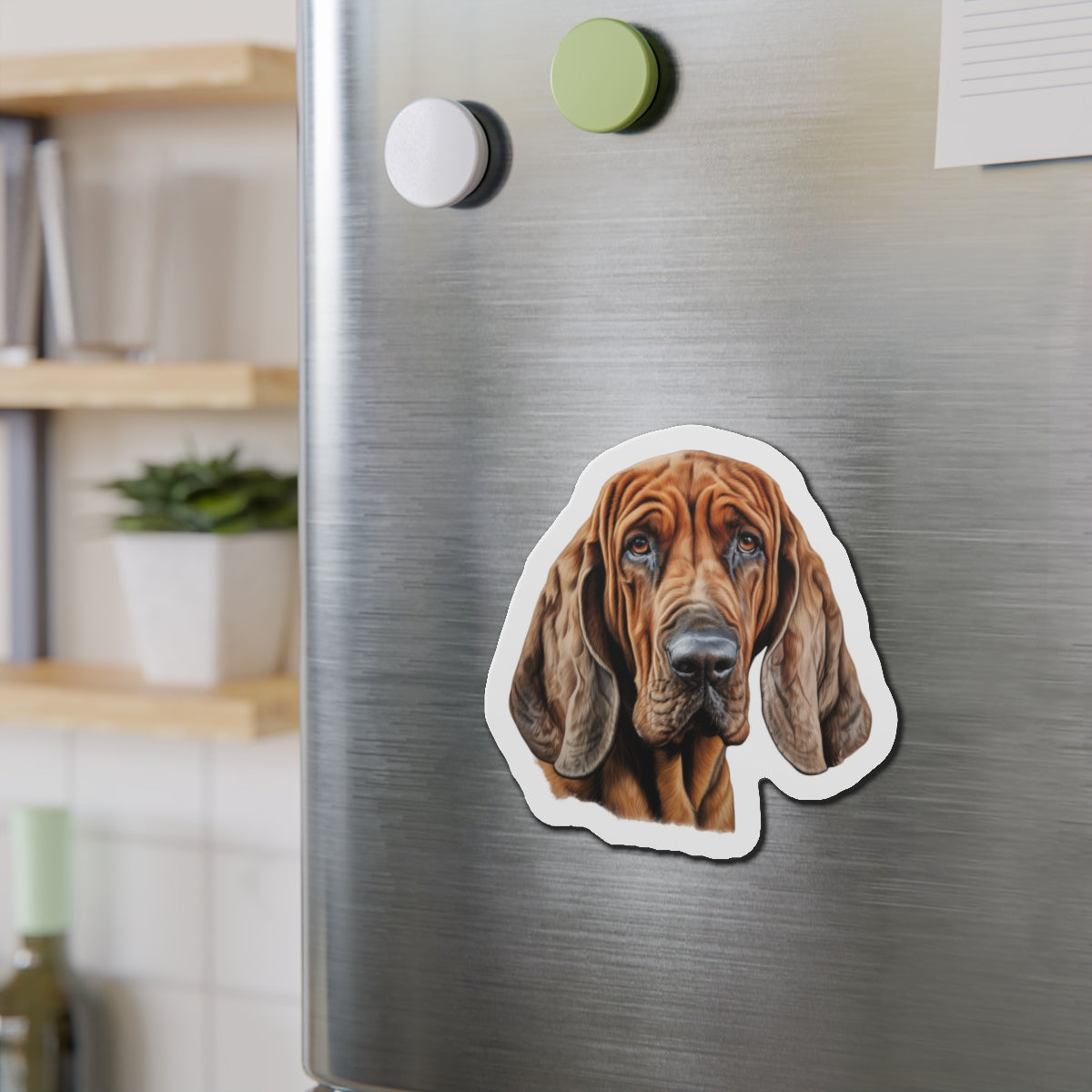 Bloodhound Magnet