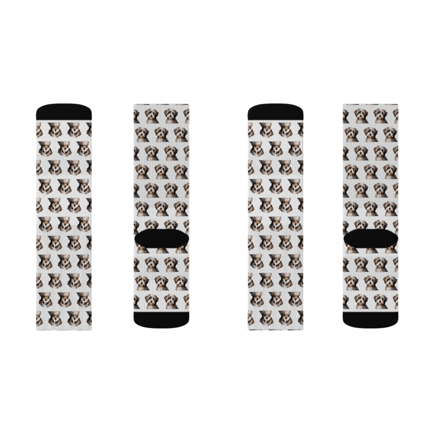Havanese Socks
