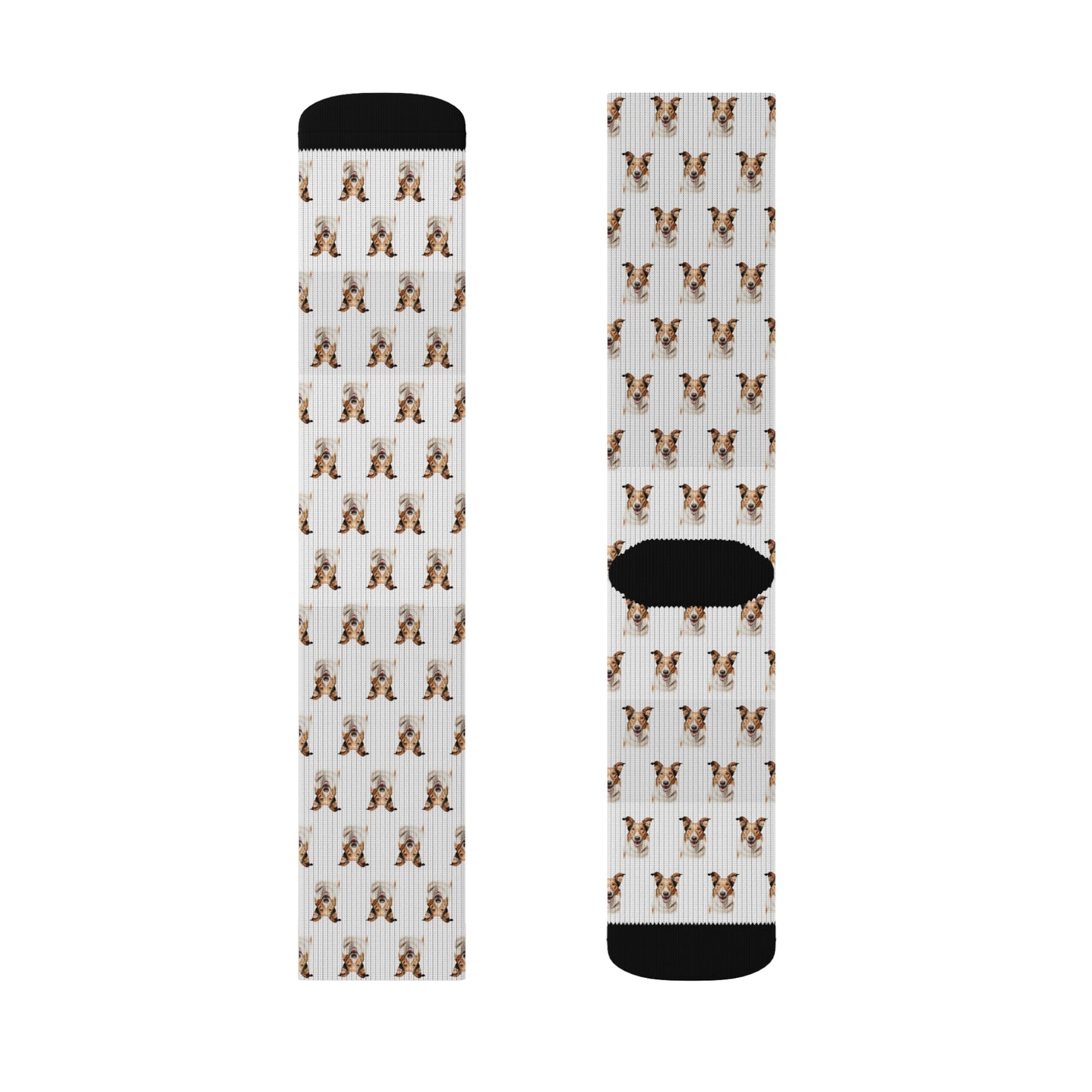 Smooth Collie Socks