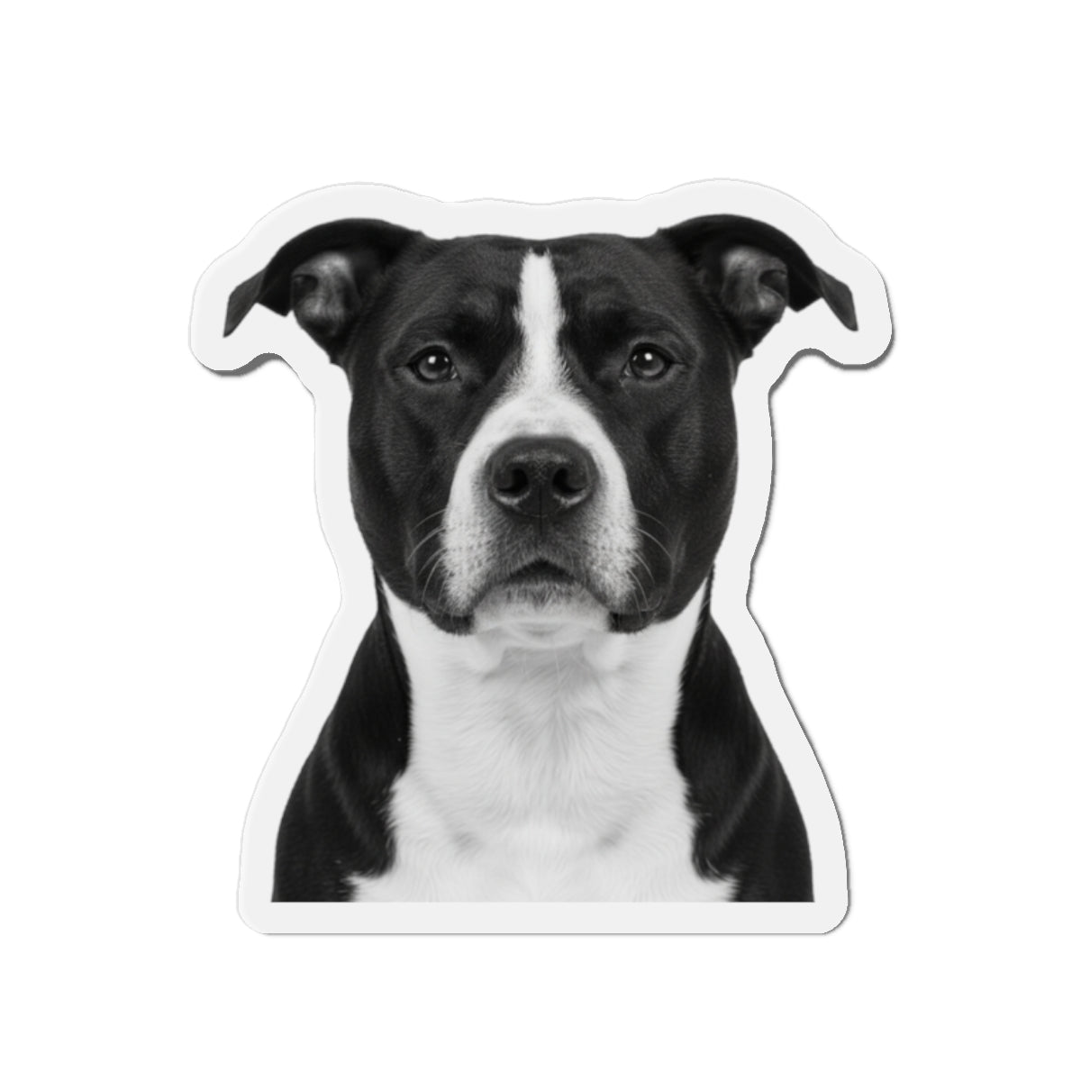 Pit Bull Die-Cut Magnet, Pet Lover Fridge Magnet, Animal Car Magnet, Cute Dog Kitchen Decor, Bull Terrier Gift