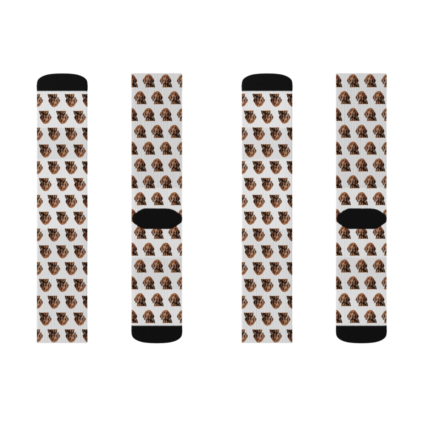 Bloodhound Socks