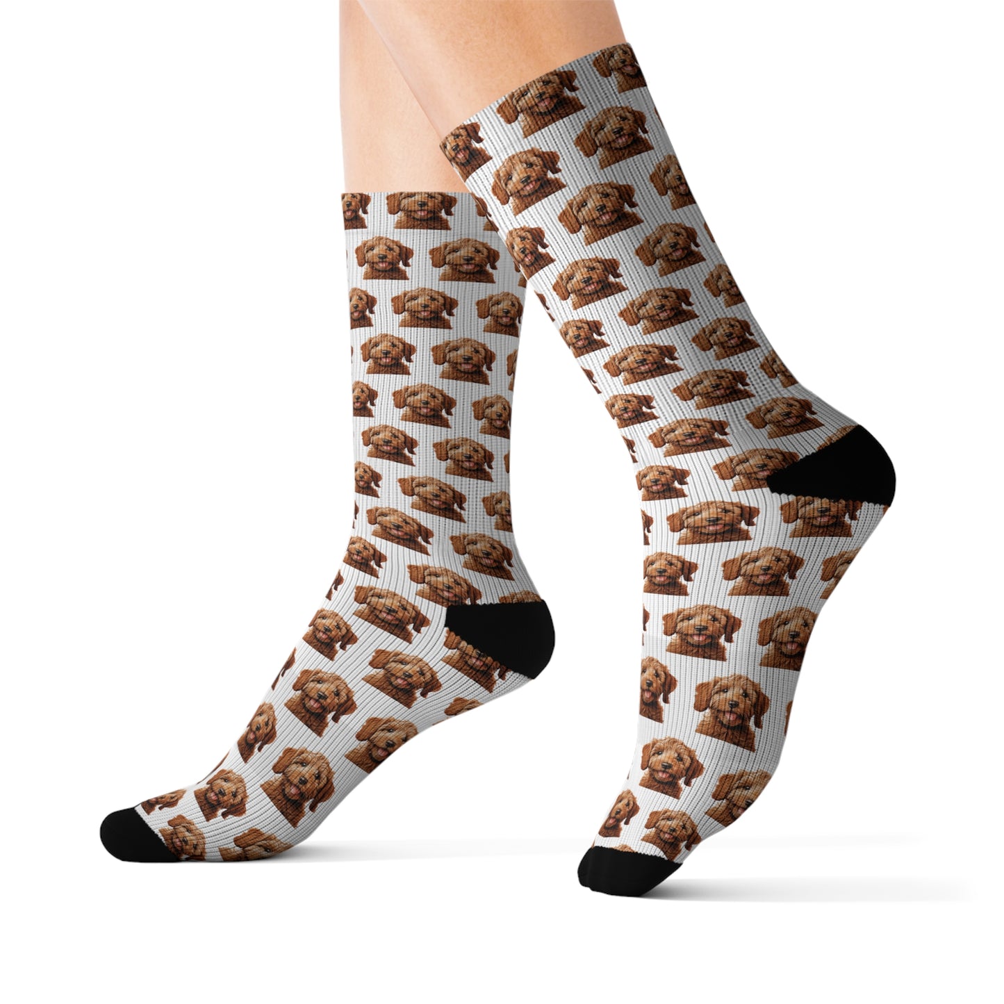 Goldendoodle Socks