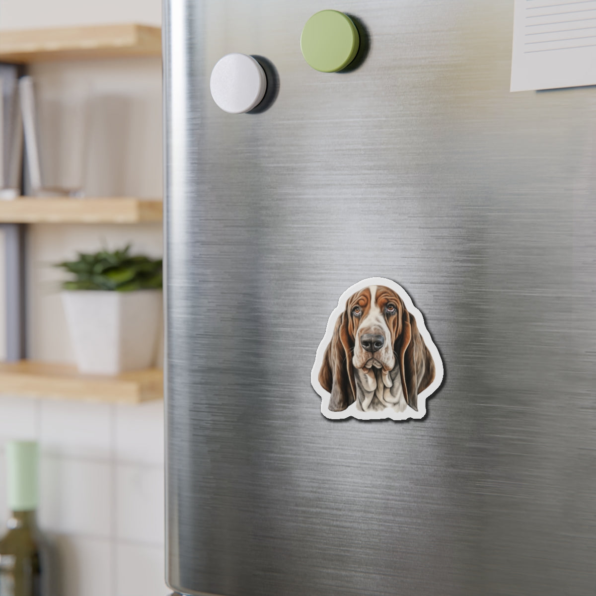 fridge with basset hound magnet