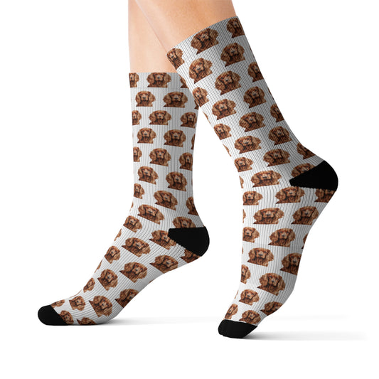Cocker Spaniel Socks