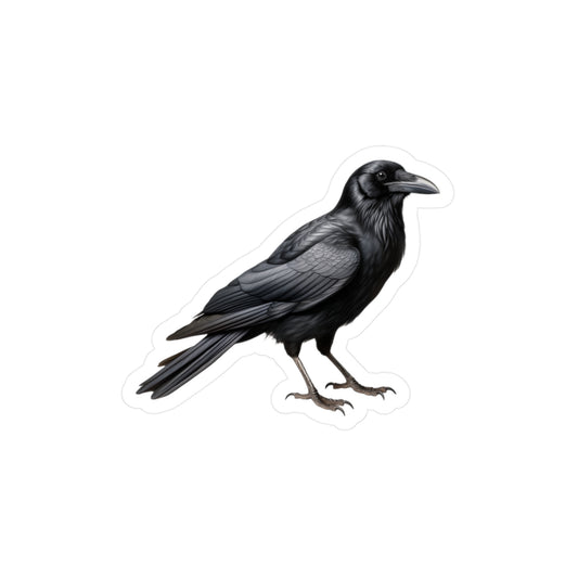 Crow Sticker | Bird Vinyl Decal | Car Decal | Laptop Sticker | Window Decal
