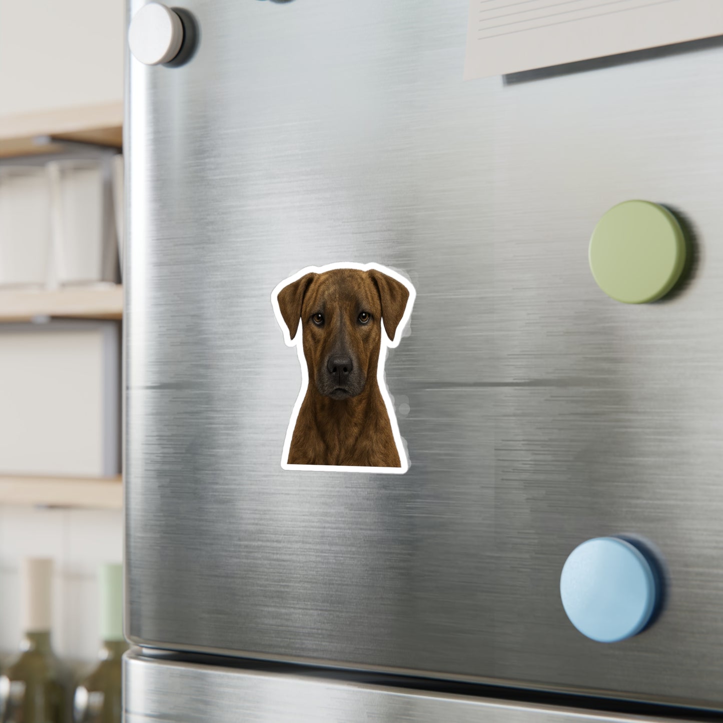 Africanis sticker on fridge