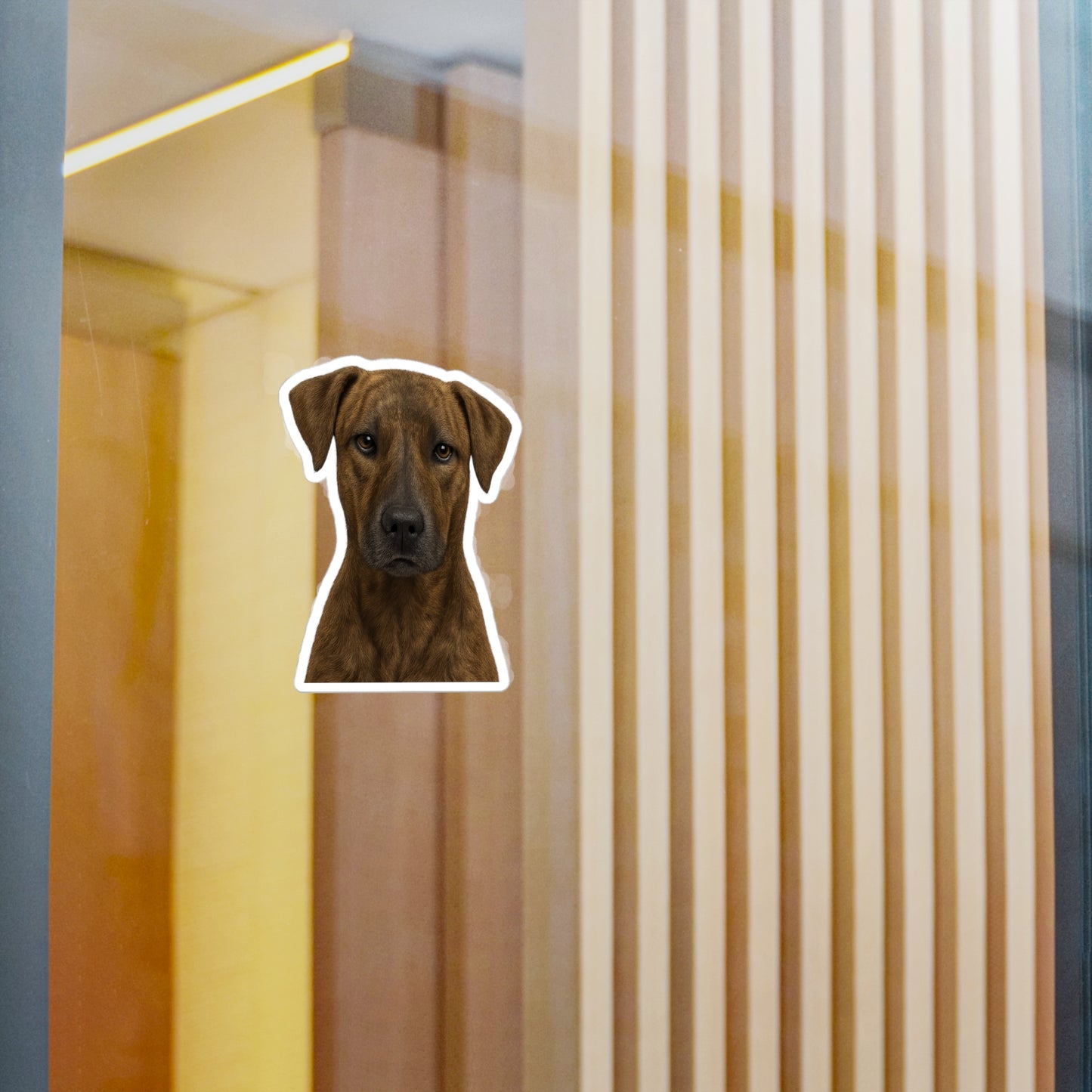 Africanis decal on window