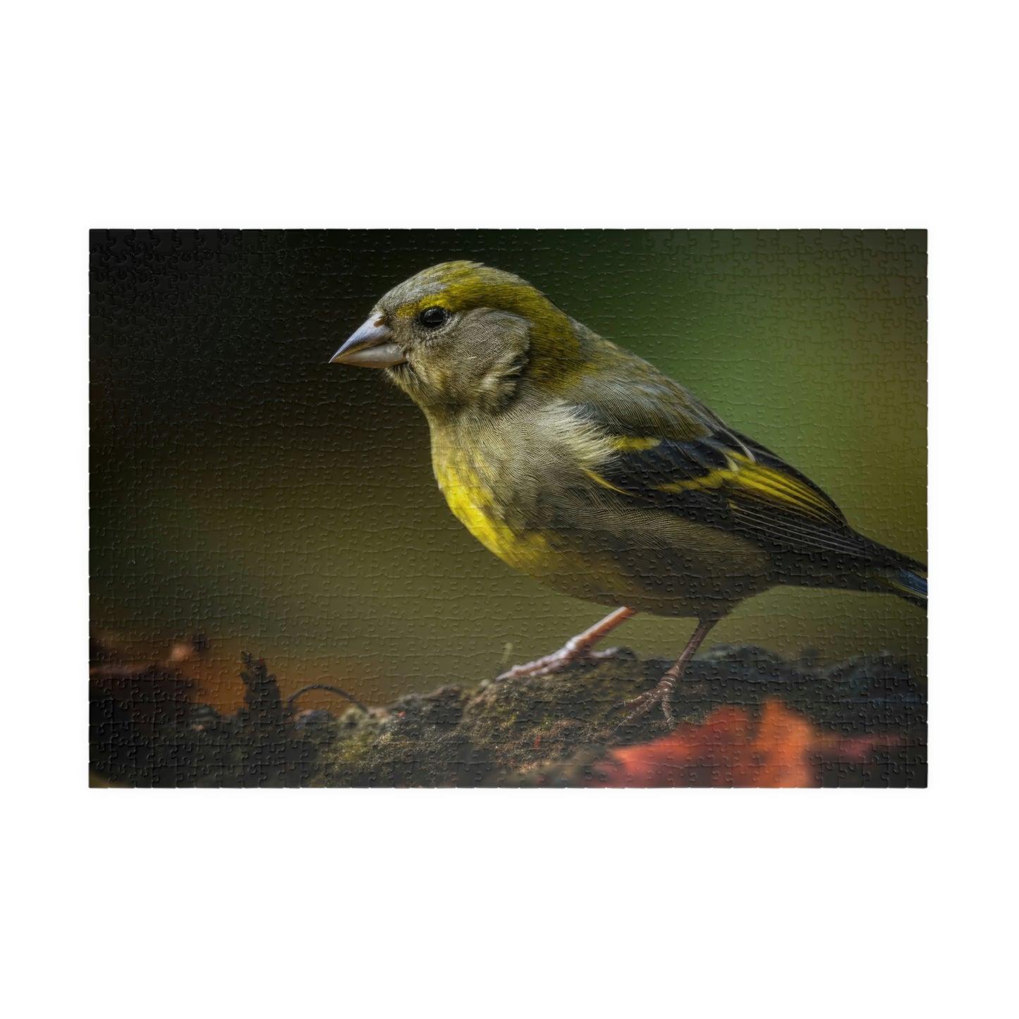 Finch Puzzle (500, 1014-piece)