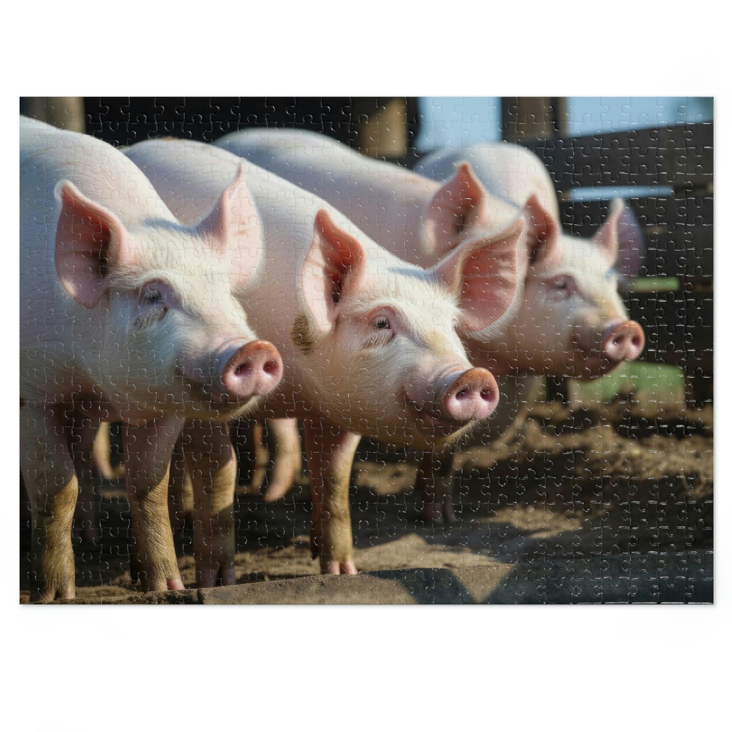 Pigs 2 Puzzle: (500, 1000 pc)