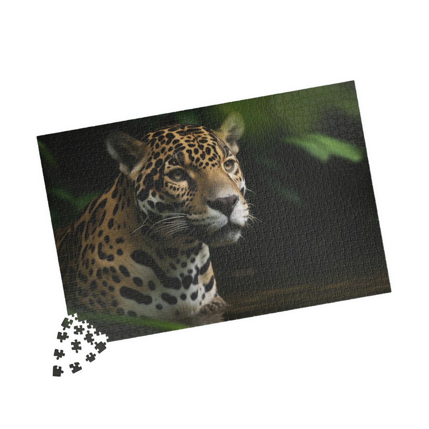Jaquar Puzzle (500, 1014-piece)