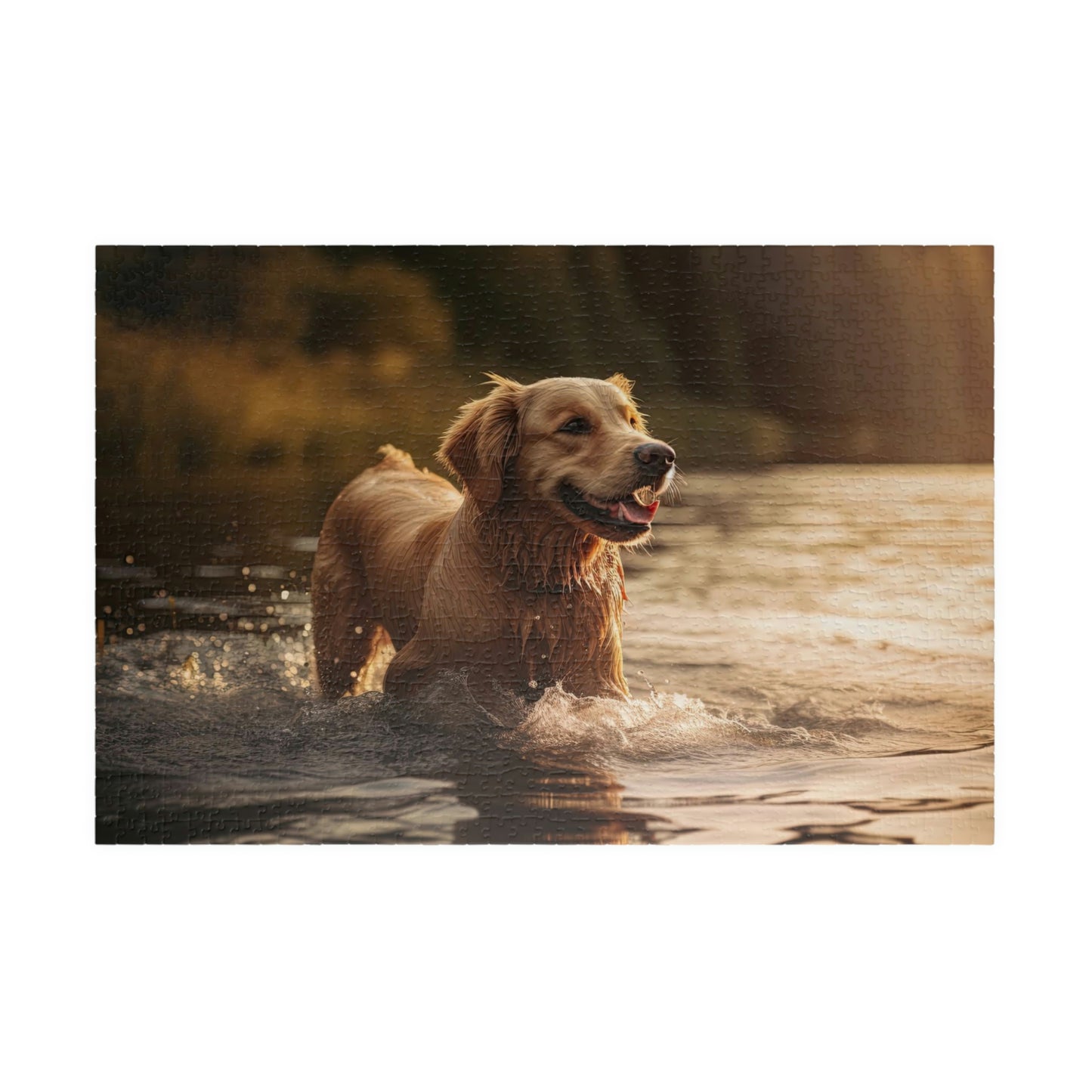 Golden Retriever Puzzle (500, 1014-piece)