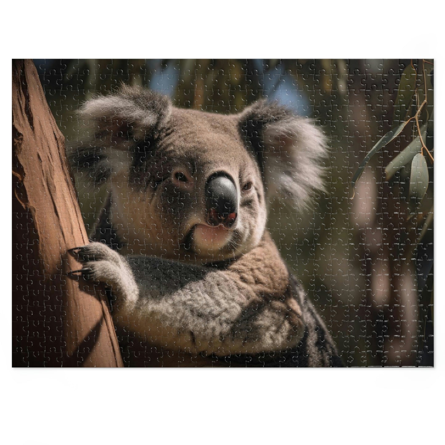 Koala's Tranquil Siesta 2 (500, 1000 piece)