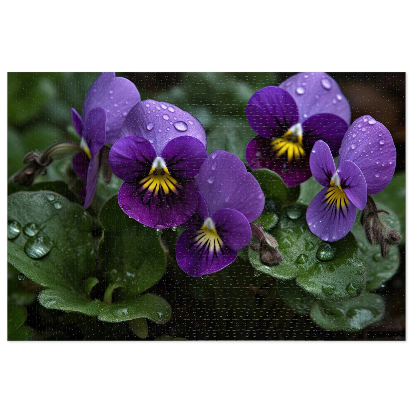 Enchanting Violets 2 Puzzle: (500, 1000 pc)